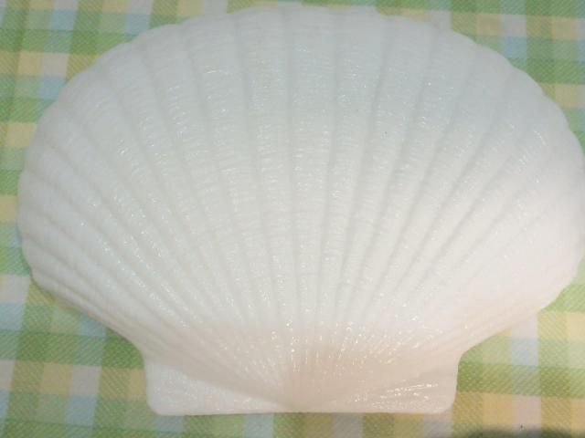 廣田硝子 シェルプレート 5枚 < インテリア/ライフ 廣田硝子 シェルプレート 5枚 < インテリア/ライフの