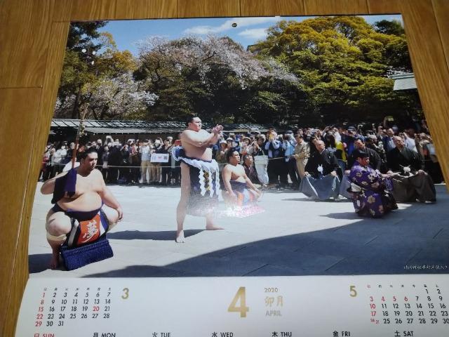 日本相撲協会 大相撲 令和2年カレンダー 未使用 < レジャー/スポーツ  日本相撲協会 大相撲 令和2年カレンダー 未使用 < レジャー/スポーツの