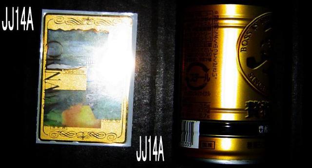 OKINAWA < ホビー  OKINAWA  < ホビーの