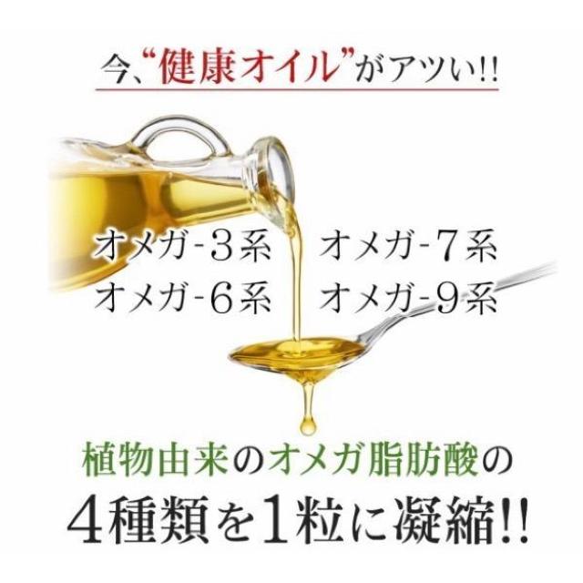 マルチオメガ 亜麻仁 えごま油 サプリメント約3ヵ月分 < グルメ/ドリンク  マルチオメガ 亜麻仁 えごま油 サプリメント約3ヵ月分 < グルメ/ドリンクの
