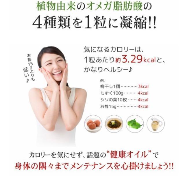 マルチオメガ 亜麻仁 えごま油 サプリメント約3ヵ月分 < グルメ/ドリンク  マルチオメガ 亜麻仁 えごま油 サプリメント約3ヵ月分 < グルメ/ドリンクの