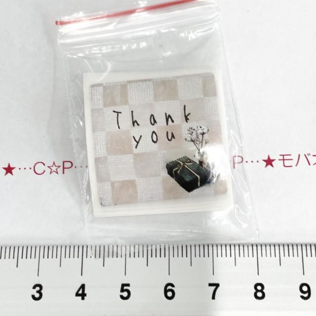 23*610ʁ@XebJ[V[@8   CeA/Ct 