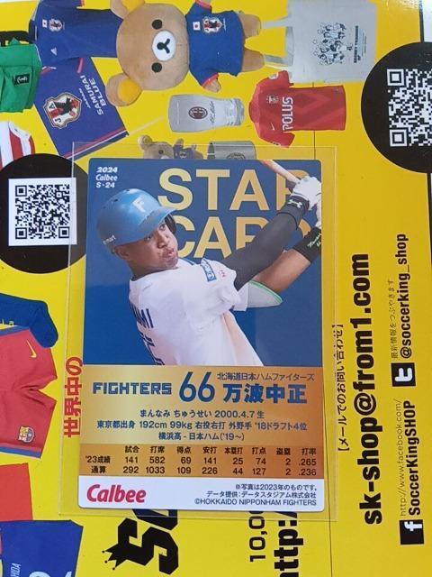 プロ野球チップスカード2024万波 < トレーディングカード  プロ野球チップスカード2024万波 < トレーディングカードの