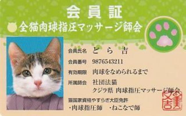 なめ猫パロディーカード 4種【B-22】 < ホビー  なめ猫パロディーカード 4種【B-22】 < ホビーの