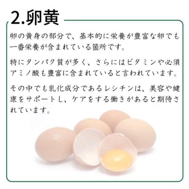 にんにく卵黄 サプリメント約3か月分×2袋 6ヵ月分 < グルメ/ドリンク にんにく卵黄 サプリメント約3か月分×2袋 6ヵ月分 < グルメ/ドリンクの