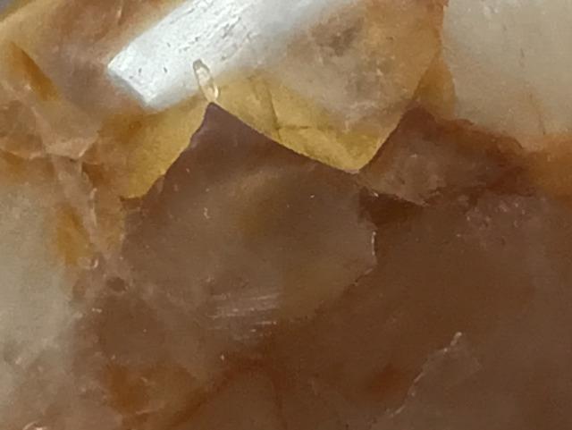 �V�N�u�����܁v��@��_����B�S����3�_ �� �����A�N�Z�T���[/���v�� 