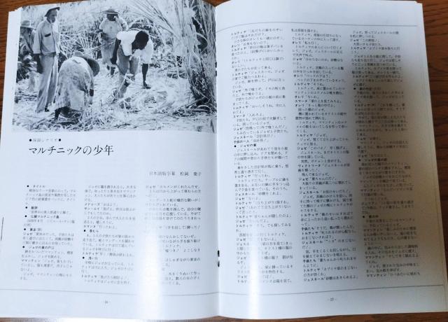 1983ヴェネチア映画祭銀獅子賞『マルチニックの少年』 映画パンフレット 半券 < ホビー  1983ヴェネチア映画祭銀獅子賞『マルチニックの少年』 映画パンフレット 半券 < ホビーの