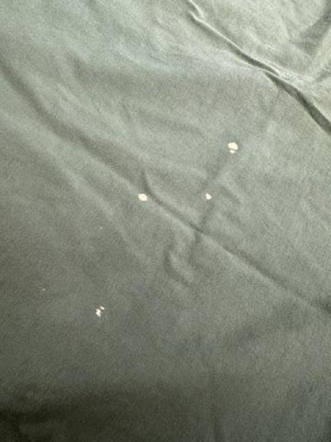 Anna Kerry ロゴTシャツ 半袖Tシャツ フリーサイズ  アンナケリー グリーン < ブランド  Anna Kerry ロゴTシャツ 半袖Tシャツ フリーサイズ  アンナケリー グリーン < ブランドの