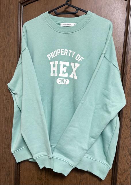 AMERICAN HOLICTCYNуiVItJ[̃g[i[/XEFbgM 