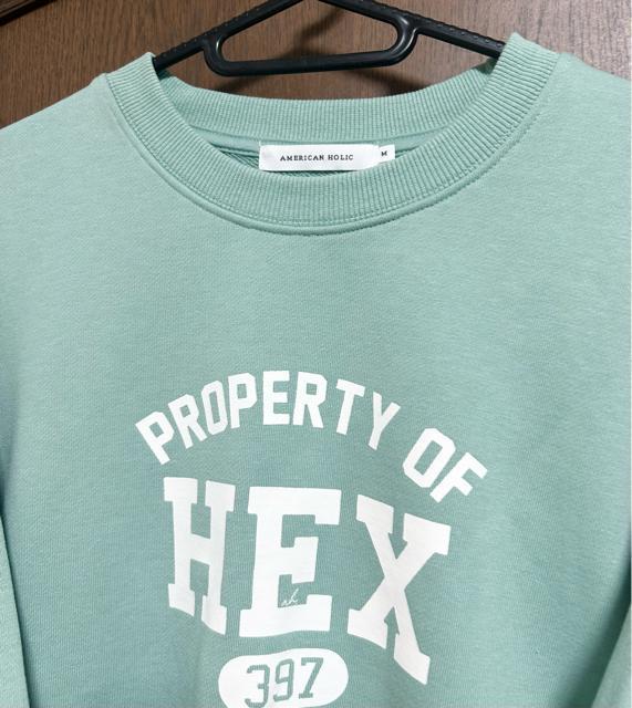 AMERICAN HOLICTCYNуiVItJ[̃g[i[/XEFbgM