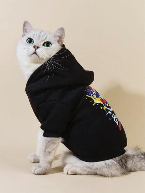 Nуp[J[yVigpzXvbVyCg ܂p[J[S ubN ybgEFA L