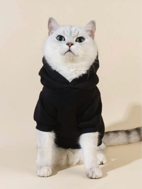 Nуp[J[yVigpzXvbVyCg ܂p[J[S ubN ybgEFA L