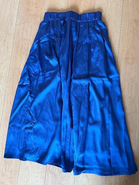 美品 ルーニィ 光沢ブルー ロングスカート 38サイズ < ブランド 美品 ルーニィ 光沢ブルー ロングスカート 38サイズ < ブランドの