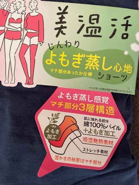 ♯新品♯美温活☆☆じんわりよもぎ蒸し心地ショーツ LL  一部丈 hukusuke < 女性ファッション  ♯新品♯美温活☆☆じんわりよもぎ蒸し心地ショーツ LL  一部丈 hukusuke < 女性ファッションの