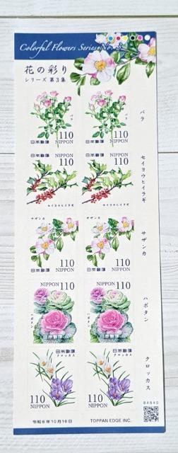 gp؎1100~110~~10yԂ̍ʂV[Y3Wzoi(^-^)|Cgɂ   zr[ 