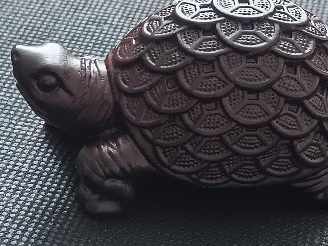 ���^�Ăэ��ށu���T����v��̕��T�C�Y�̒u���ł��B��_����B �� �����A�N�Z�T���[/���v�� 