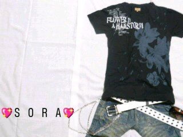 �L���J�W.�Z���J�W.�T������o�b�N�񌳃��U�[�^�O���S �t�����[&�p���v�����gT�V���c  �� �j���t�@�b�V������ 