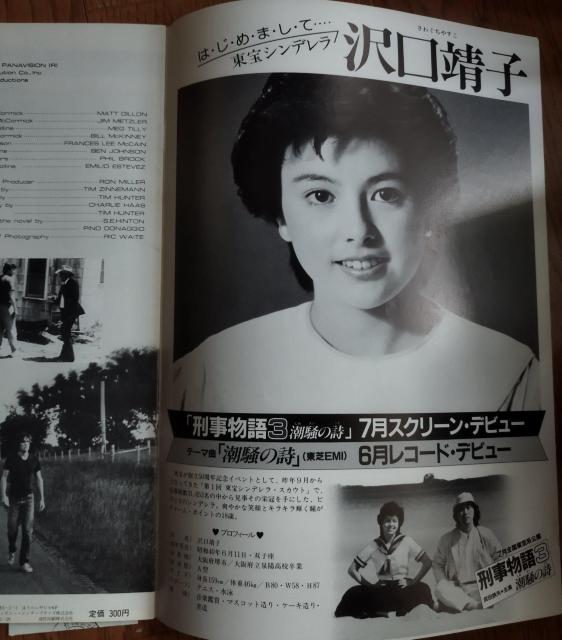 マット・ディロン テックス エミリオ・エステヴェス 映画パンフレット 1984 チケット半券付き 東宝シンデレラ 沢口靖子 < ホビー  マット・ディロン テックス エミリオ・エステヴェス 映画パンフレット 1984 チケット半券付き 東宝シンデレラ 沢口靖子 < ホビーの