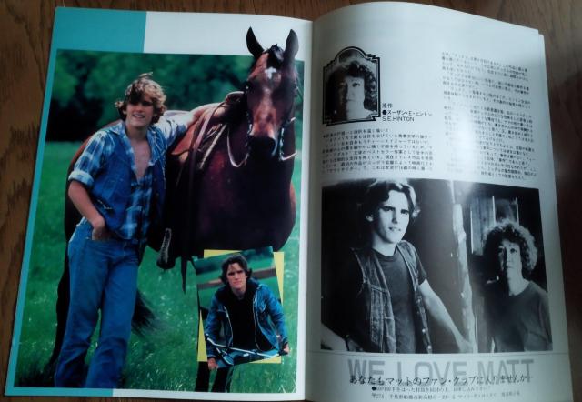 マット・ディロン テックス エミリオ・エステヴェス 映画パンフレット 1984 チケット半券付き 東宝シンデレラ 沢口靖子 < ホビー  マット・ディロン テックス エミリオ・エステヴェス 映画パンフレット 1984 チケット半券付き 東宝シンデレラ 沢口靖子 < ホビーの