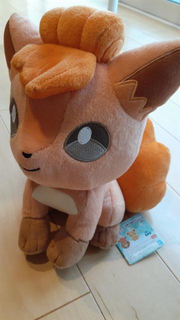 ポケモン ロコン ぬいぐるみ < おもちゃ  ポケモン ロコン ぬいぐるみ  < おもちゃの