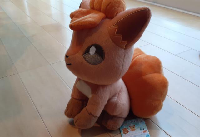 ポケモン ロコン ぬいぐるみ < おもちゃ  ポケモン ロコン ぬいぐるみ < おもちゃの