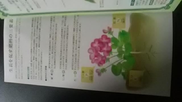 ガーデニング、正しい肥料の与え方冊子新品 < ペット/手芸/園芸  ガーデニング、正しい肥料の与え方冊子新品 < ペット/手芸/園芸の