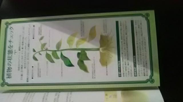 ガーデニング、正しい肥料の与え方冊子新品 < ペット/手芸/園芸  ガーデニング、正しい肥料の与え方冊子新品 < ペット/手芸/園芸の