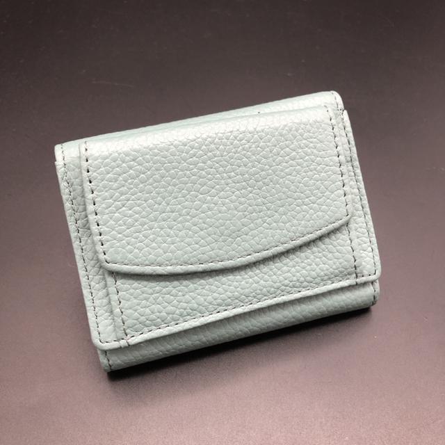  LASIEM O܂z   t@bV 