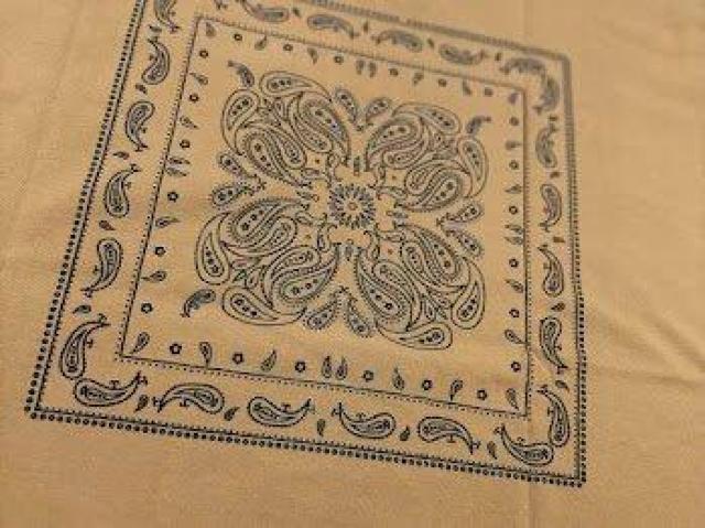 rbOVGbg yCY[  TVc Xg[g x[W  jt@bV 