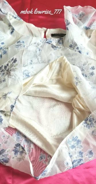 �A���V�A ���n���f�� �������ȃJ�b�g�\�[