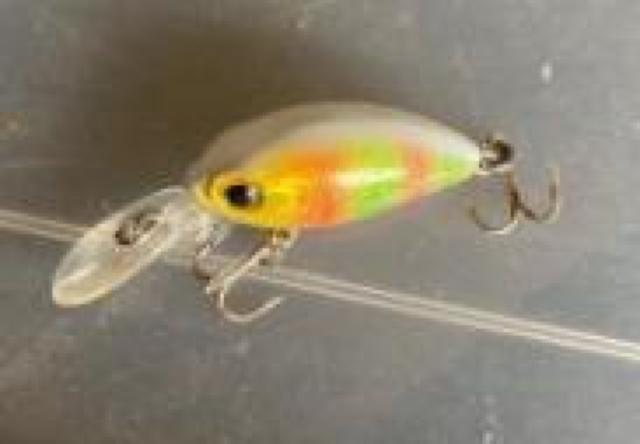 ���^�N�����N  �� ���W���[/�X�|�[�c�� 