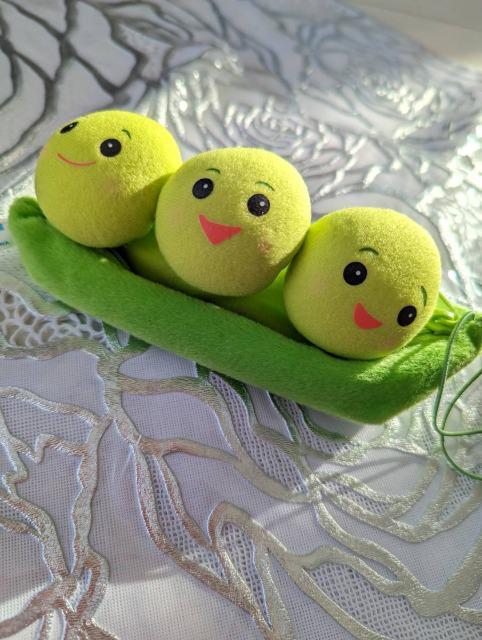 Disney/�f�B�Y�j�[/Toy story/�g�C�E�X�g�[���[/����3�Z�� �}�X�R�b�g�ʂ������/�s�[�g/�s�[�g���X/�y�l���[�v �� ��������� 