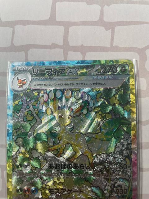 ���[�t�B�Aex SAR �� �g���[�f�B���O�J�[�h�� 