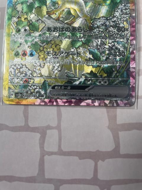 ���[�t�B�Aex SAR �� �g���[�f�B���O�J�[�h�� 