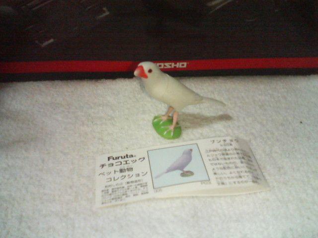 フルタ ペット動物1 ブンチョウ 白文鳥 < ホビー フルタ ペット動物1 ブンチョウ 白文鳥 < ホビーの