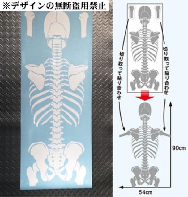 骸骨ステッカー (背面) ドクロ スケルトン ガイコツ スカル SKULL < 自動車/バイク 骸骨ステッカー (背面) ドクロ スケルトン ガイコツ スカル SKULL < 自動車/バイク