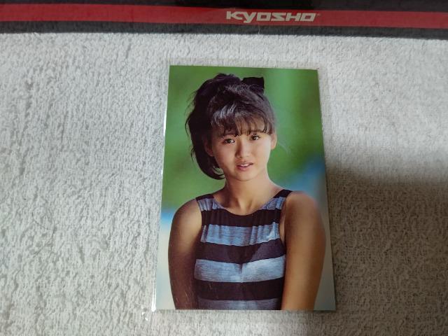 ���~�J �{�c���ގq  �� �^�����g�O�b�Y�� 