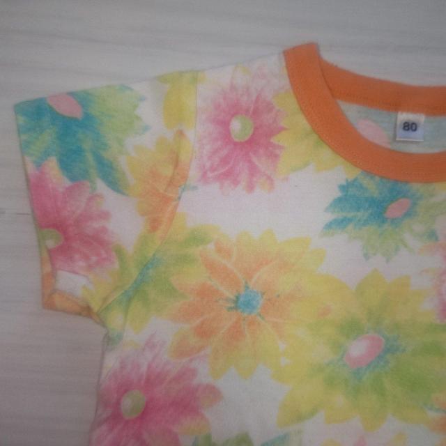 tԕTVc TCY80   LbY/xr[ 