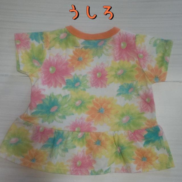 tԕTVc TCY80   LbY/xr[ 