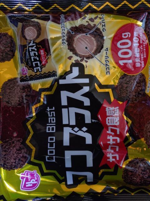 �R�R�u���X�g  �� �O����/�h�����N�� 