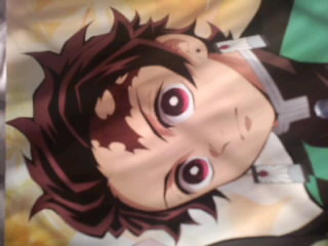 Sł̐n YYHq |X^[  Aj/R~bN/LN^[ 