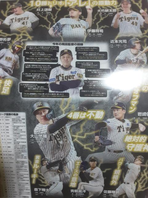 18年ぶりに阪神優勝!大阪に住んでて読売新聞の勧誘の人にもらった「阪神V号外クリアファイル」送料無料 < レジャー/スポーツ 18年ぶりに阪神優勝!大阪に住んでて読売新聞の勧誘の人にもらった「阪神V号外クリアファイル」送料無料 < レジャー/スポーツの