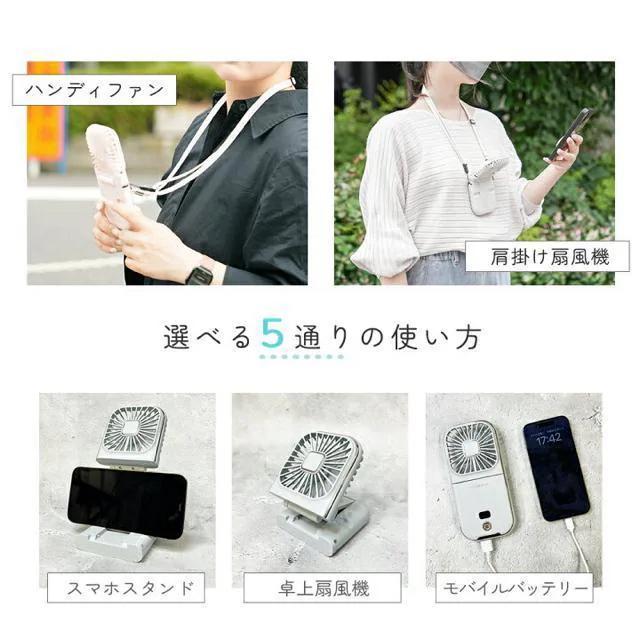 uԗp艿2,980~yViz5weynfB[t@&oCobe[_XeBuE@ lbNt@