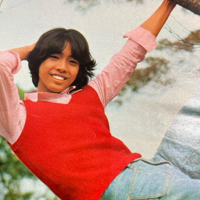 明星  1974年2月号   送料無料  匿名配送  山口百恵 西城秀樹 浅田美代子 郷ひろみ 南沙織 < タレントグッズ  明星  1974年2月号   送料無料  匿名配送  山口百恵 西城秀樹 浅田美代子 郷ひろみ 南沙織 < タレントグッズの