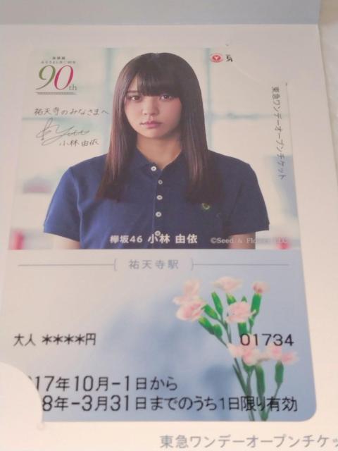 東急東横線 90周年 乗車券 チケット 欅坂46A < アニメ/コミック/キャラクター 東急東横線 90周年 乗車券 チケット 欅坂46A < アニメ/コミック/キャラクターの