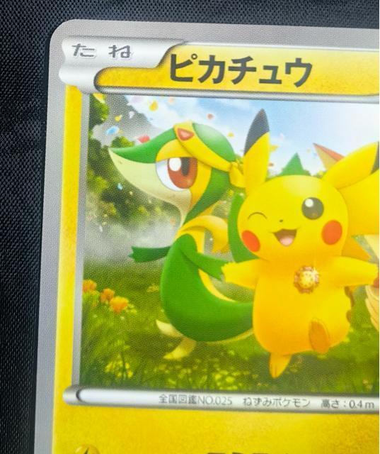 �y�󏭁z�s�J�`���E �v���� �|�P�����Z���^�[���k OPEN�L�O 120/BW-P ���� �� �g���[�f�B���O�J�[�h�� 