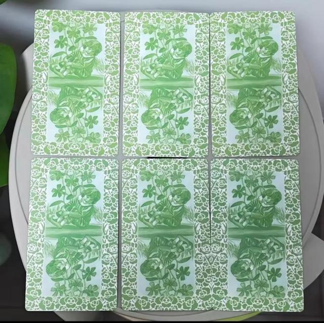 �Ԃ̗d���^���b�g�J�[�h The Spirit of Flowers Tarot �ʏ�T�C�Y12cm�~7cm�@78�� �� �{/�G���� 