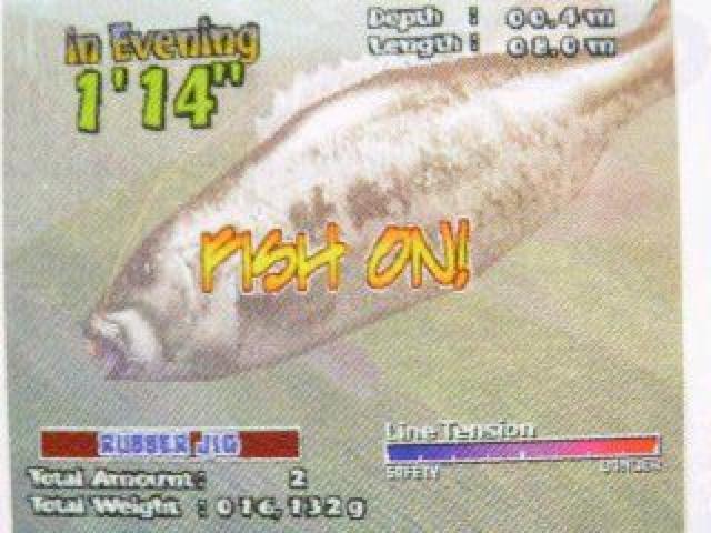 PSECjOEA[悤ȃAȎ育  Q[{/\tg 