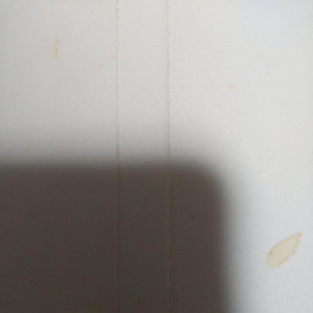 CD ݂䂫 10WINGS т܂gp͂܂  ^gObY 