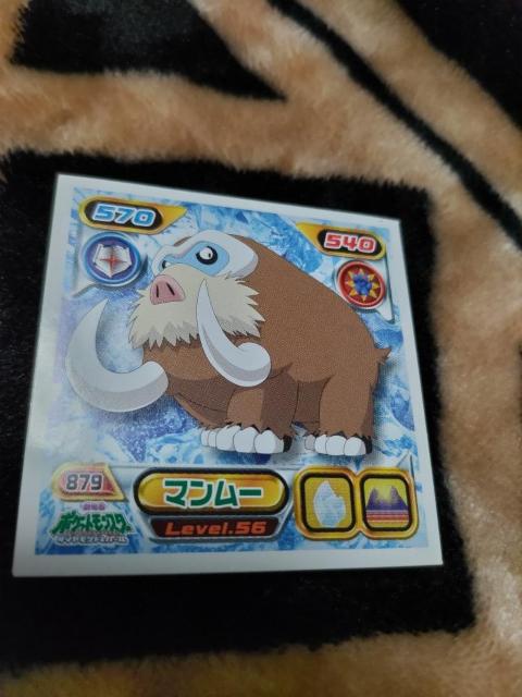 ポケモンシール◆2009ピカチュウプロジェクト◆マンムー < アニメ/コミック/キャラクター  ポケモンシール◆2009ピカチュウプロジェクト◆マンムー  < アニメ/コミック/キャラクターの